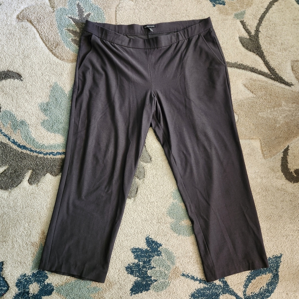 Eileen Fisher Stretchy Pull On Ankle Slacks Women's Size XL